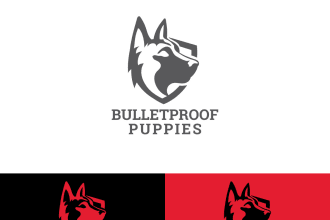 do a stunning dog cat pet mascot logo for you