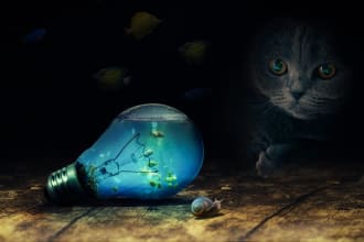 expert photoshop editing to make your images pop