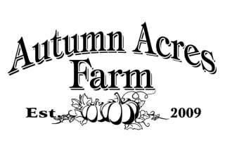 create a unique pumpkin logo for you in 20 hours with all the assets
