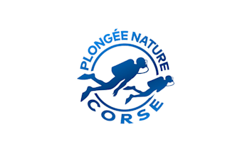 design eye catching and spotless the diver logo