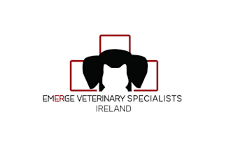 design marvelously important emergency hospital logo