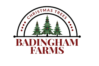 createing awesome christmas tree farm logo an best design