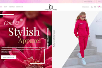 design a professional one product store on shopify, webshop