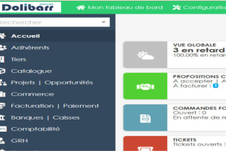 develop dolibarr modules theme