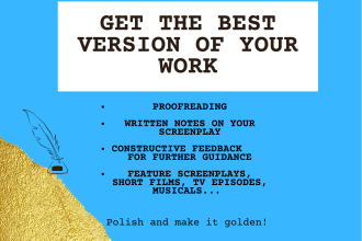 proofread  and give professional notes on your screenplay
