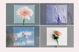 do professional crop and resize all image