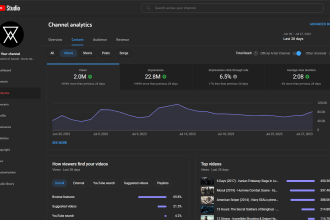 offer a consultation aimed at maximizing your growth on yt