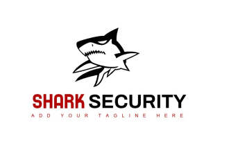 create an eye catching concept for a security logo or icon for you