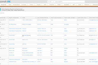 create professional salesforce reports and dashboards