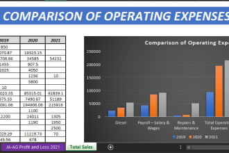 do excel chart, graphs, pivot tables, google sheet dashboard