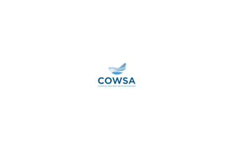 design lovely extremely good logo for a water swimming