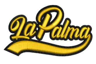 do best embroidery digitizing logo to dst,pes,hus in 2 hours