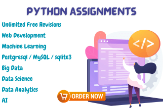 code your python assignment and python projects, scripts