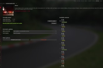 setup your  assetto corsa for online servers and single player use