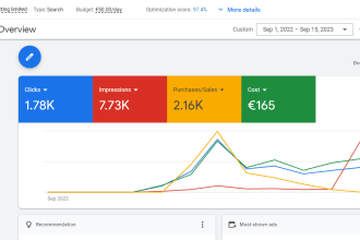 do highly profitable google ads PPC campaign setup and management