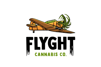 design a professional modern airplane logo