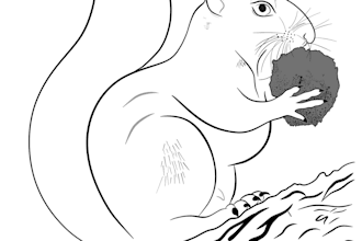 create exquisite line art illustration in procreate