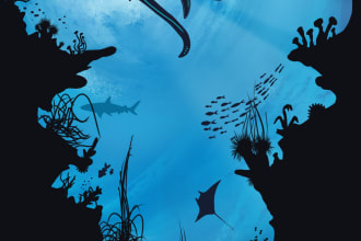 create custom digital art, graphics and illustrations