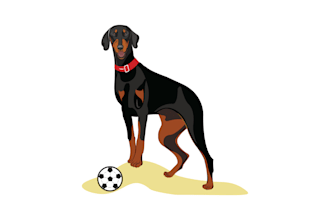 illustrate the best memories of your pet
