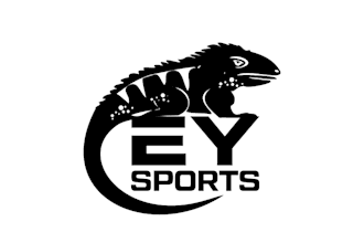 design highest level exceptional sports logo or icon design for you