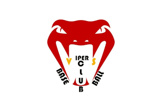 design top quality baseball club logo