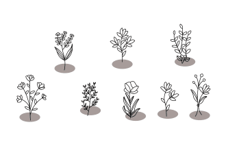 draw  line art illustrations of flowers, plants,