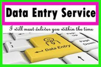 be your reliable data entry operator