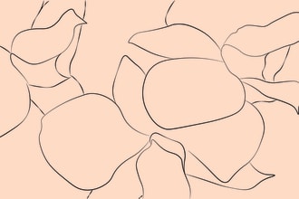 make line art from a photo flower line art simple trace