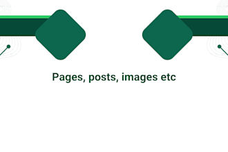 do transfer website and content website export