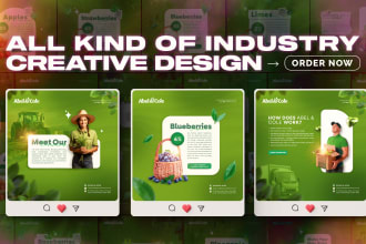 create banner ads facebook ads, instagram posts, and stories