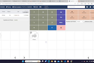 configure, develop modules, train, and provide support for dolibarr