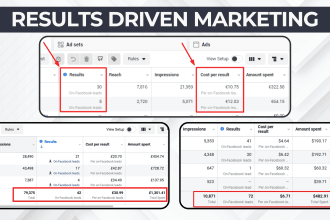 be your expert facebook ads manager on monthly basis