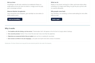 write website copy or product descriptions in dutch, french or english