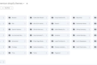 deliver 50 plus premium shopify themes for your shopify store