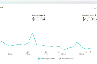 your shopify virtual assistant