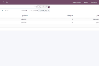 provide odoo development serveice