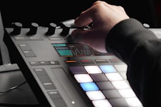produce a professional and original song for you