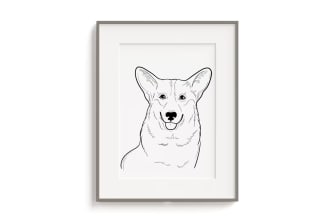pet portrait dog portrait cat portrait
