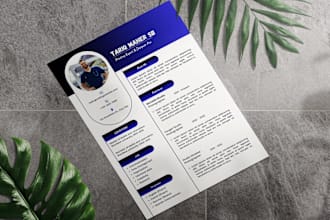 write nursing, medical and healthcare resume, professional cv