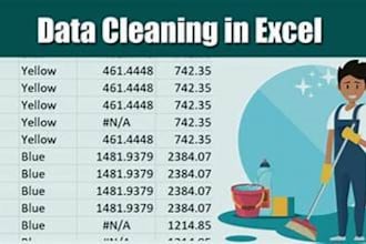 data cleaning, data entry, excel big data cleaning