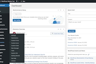 wordpress expert elementor pro and divi