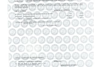 register your company and file taxation in the philippines