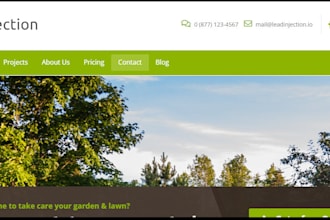 build wordpress landing page design, squeeze page, sales page, or sales funnel