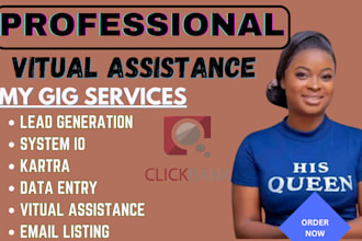 be your email marketing virtual assistant using klaviyo systeme io, kartra, zoho