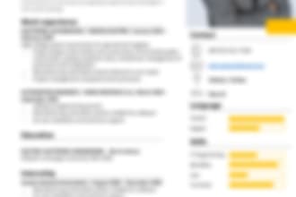 write your resume and cover letter in dutch translation or from scratch