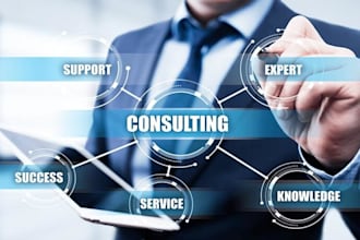 provide a 30 minute startup consultation session to kickstart your business