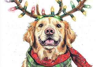 do christmas card, greeting card, holiday invitations