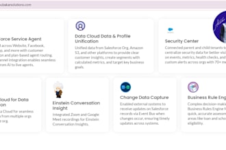 be your salesforce admin and help you with configuration