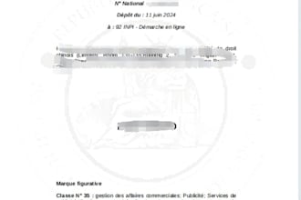 french trademark ,french trademark application