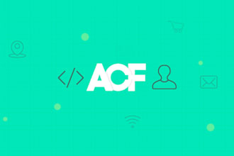build custom website with  acf and  elementor pro